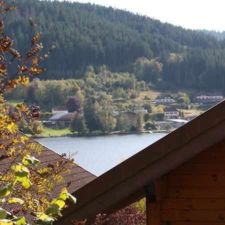 Chalet Vosgien Gérardmer Екстериор снимка