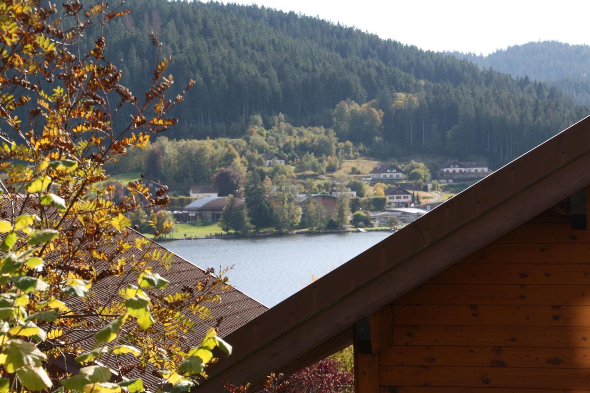 Chalet Vosgien Gérardmer Екстериор снимка